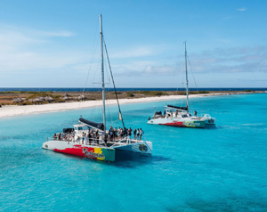 IRIE TOURS